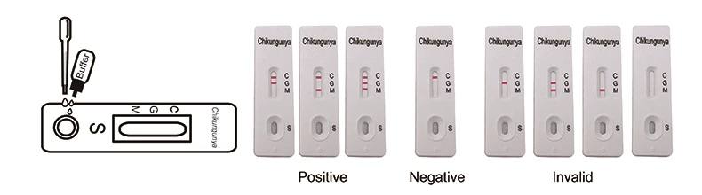Chikungunya IgG/IgM Rapid Test （Cassette）