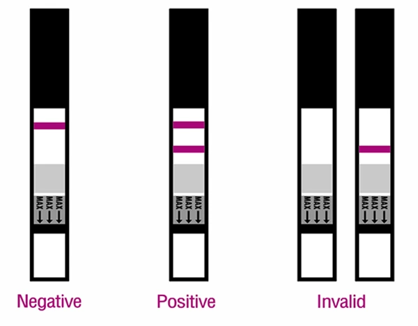 Diagnos HCG Pregnancy Test(strip)