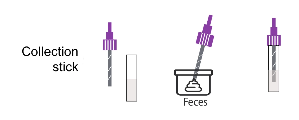 H.pylori Antigen Rapid Test Kit